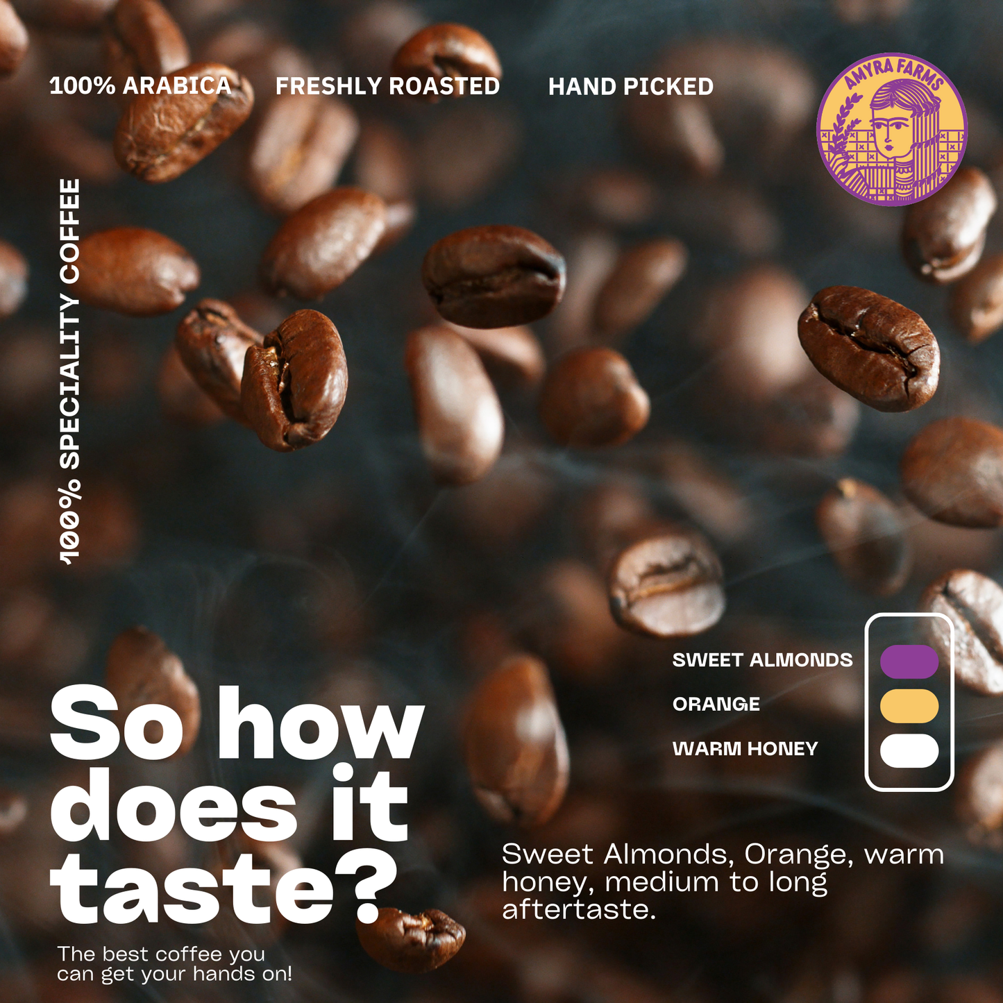 Amyra Farms Specialty 100% Arabica Coffee Beans – Medium Roast UAE - flavor