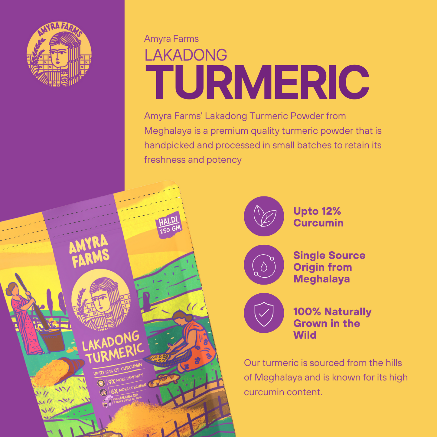 Amyra Farms Organic Lakadong Turmeric Powder – premium high curcumin turmeric from Meghalaya, India, now in UAE, specifications