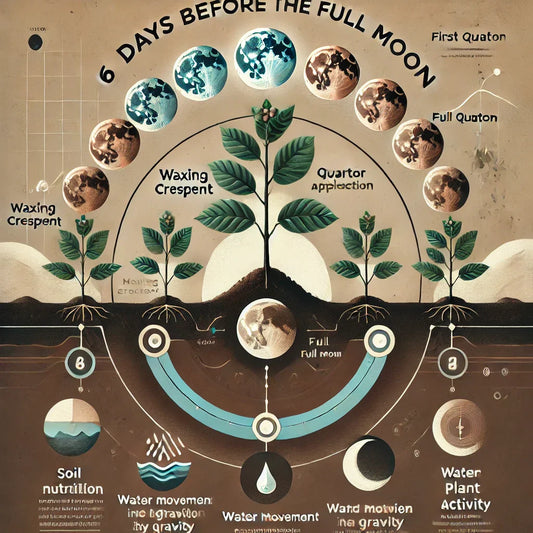 How Astronomy Plays an Important Role in Coffee Estate Management