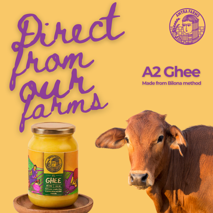 Premium A2 gir cow ghee-pure organic bilona method-direct from our farms