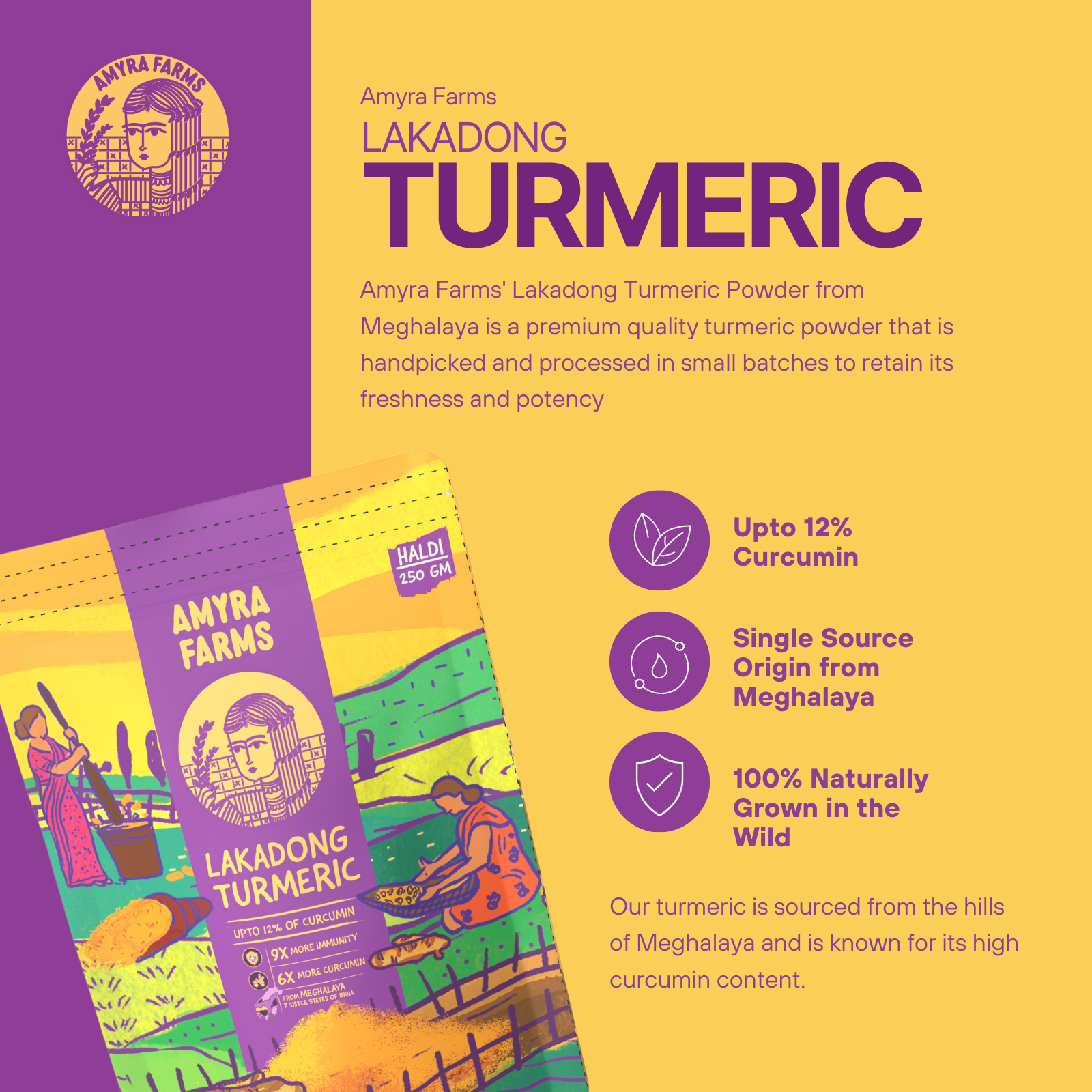 Amyra Farms Organic Lakadong Turmeric Powder – premium high curcumin turmeric from Meghalaya, India, now in UAE, specifications 
