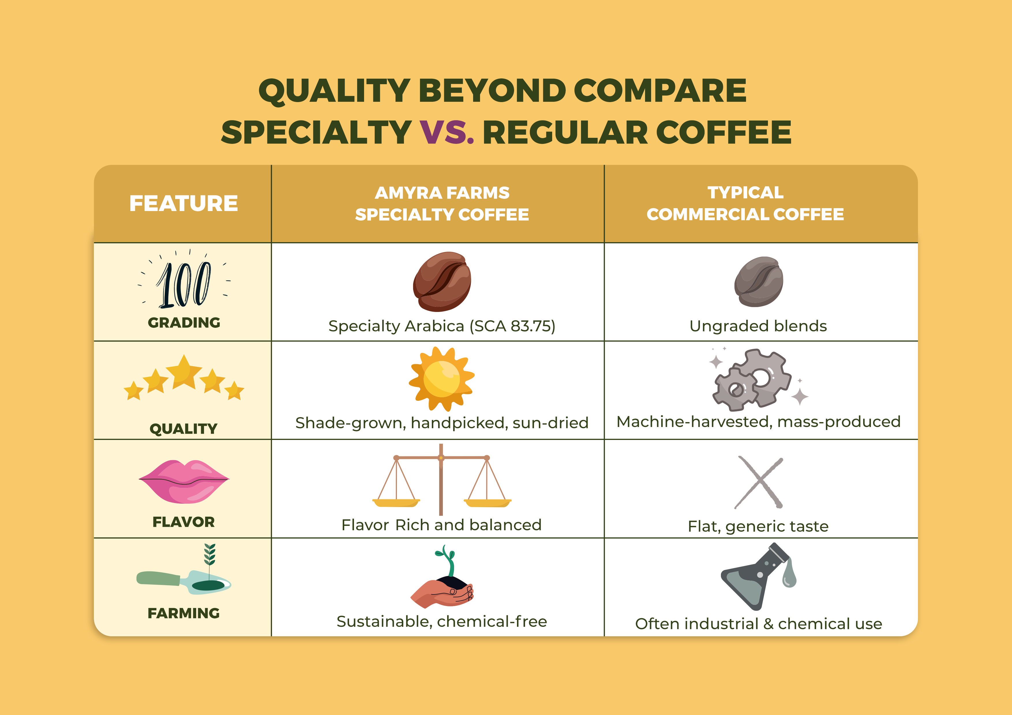 Amyra Farms Specialty Coffee vs Commercial Coffee comparison table — highlighting quality, flavor, farming methods, and experience.